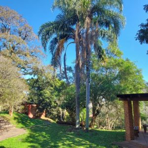 exterior-casa-de-repouso-acerd (2)